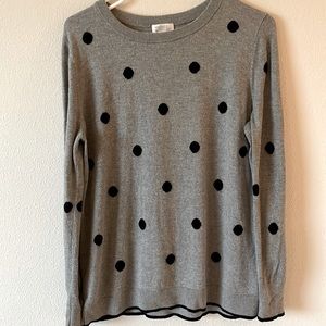 Market & Spruce Polka Dot sweater